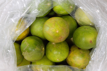 Limes in a bagの写真素材