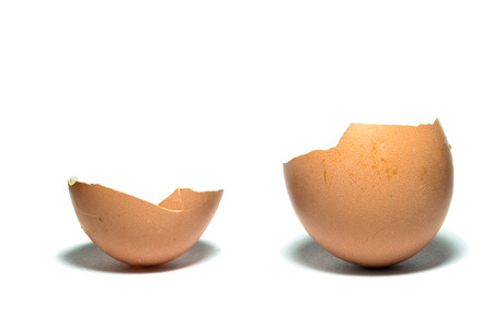 Egg shell isolated on white background