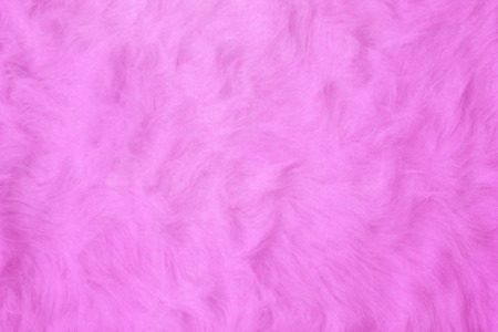 Pink fur background textureの写真素材