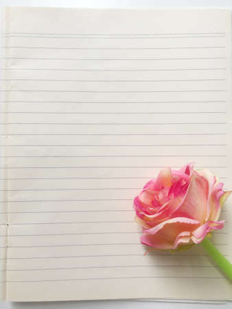 decoration of stationeryの写真素材