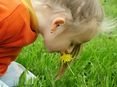 Smelling the flowerの写真素材