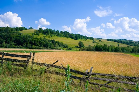 Countryside wheat field and hill in summertimeの写真素材