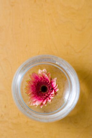 Simple ikebana in glass ball - view from the top