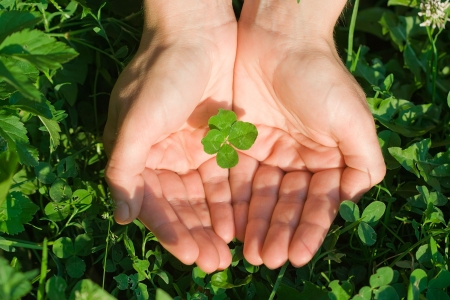 Female hand holding a four leaf clover on the groundの写真素材