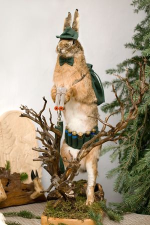 The rabbit carrying the gun - paradox situation in huntingの写真素材