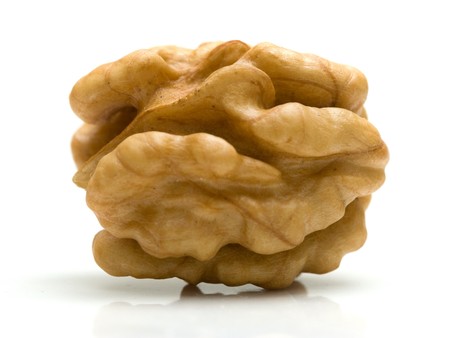 Macro of dry, whole nutmeat on whiteの写真素材