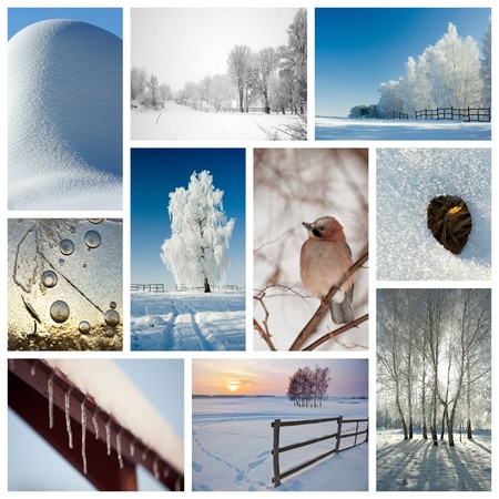 Winter collage representing various season-related nature scenicsの写真素材