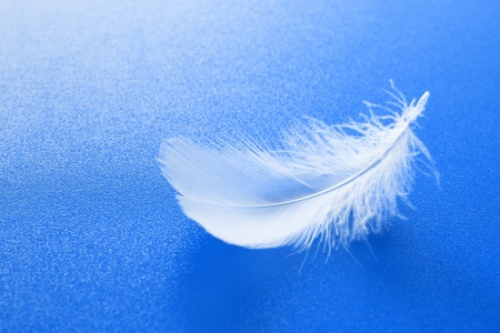 One small white feather on textured blue backgroundの写真素材