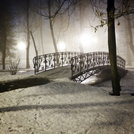 Park bridge in foggy winter nightの写真素材