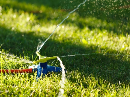 Irrigation of green grass with garden sprinklerの写真素材