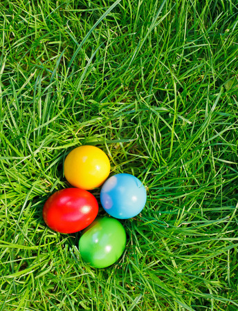 Colorful easter eggs in the green grassの写真素材