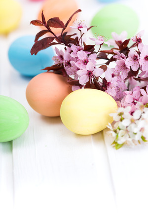 Pastel colored Easter eggs next to blooming branchの写真素材