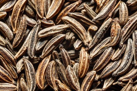Extreme macro of dried cumin seedsの写真素材