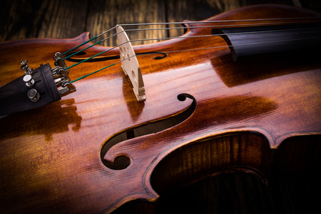 Close view of a violin strings and bridgeの写真素材