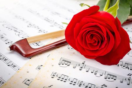 Close view of violin bow and red rose on musical sheetの写真素材
