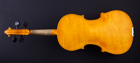 Back view of a yellow violin on blackの写真素材