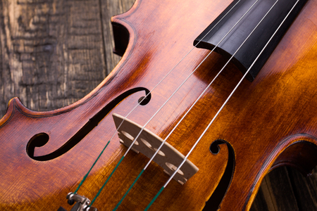 Close view of a violin strings and bridgeの写真素材