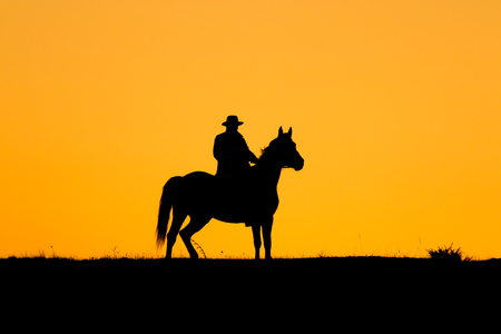 Silhouette of rider man and his horse in the sunsetの写真素材