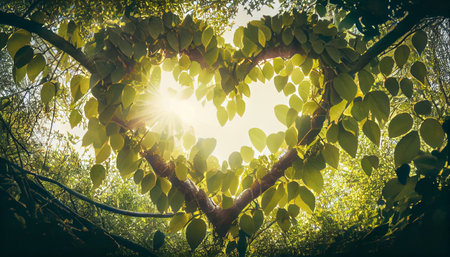the deep connection between love and nature. The tree's branches are dense with heart-shaped leaves that symbolize the warmth and affection associated with loveの素材