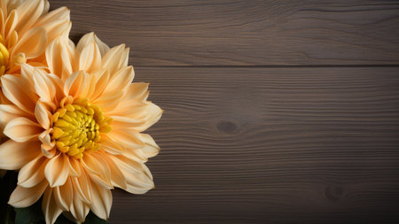 Discover the beauty of a Chrysanthemum flower against a rustic wood background. This stunning photograph features a Chrysanthemum bloom with ample copy space for your creative projectsの素材