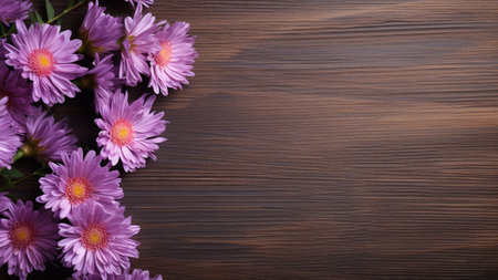 a beautiful Aster (Asteraceae) flower set against a wood background, providing ample copy space for your creative projects. The vibrant colors of the Aster contrast beautifully with the textured woodの素材