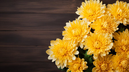 Discover the beauty of a Chrysanthemum flower against a rustic wood background. This stunning photograph features a Chrysanthemum bloom with ample copy space for your creative projectsの素材