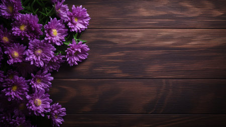a beautiful Aster (Asteraceae) flower set against a wood background, providing ample copy space for your creative projects. The vibrant colors of the Aster contrast beautifully with the textured woodの素材