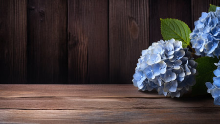 Hydrangea (Hydrangea macrophylla) flower beautifully set against a wooden background. The composition offers a perfect balance of natural elements, allowing ample copy space for messages or brandingの素材