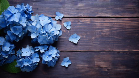 Hydrangea (Hydrangea macrophylla) flower beautifully set against a wooden background. The composition offers a perfect balance of natural elements, allowing ample copy space for messages or brandingの素材