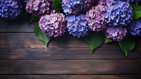 Hydrangea (Hydrangea macrophylla) flower beautifully set against a wooden background. The composition offers a perfect balance of natural elements, allowing ample copy space for messages or brandingの素材