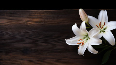 Discover the elegance of a Lily (Lilium) flower against a rustic wood background. This stunning photograph captures the natural beauty of the Lily with ample copy space for your creative projectsの素材