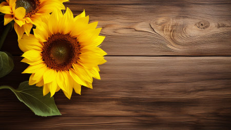 a sunflower (Helianthus) against a rustic wood background. provides ample copy space for your creative projects, designs, or marketing needs. Sunflowers are known for their bright and cheerfulの素材