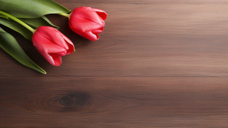 Tulipa set against a rustic wood background. The natural, elegant appeal of the tulip contrasts beautifully with the wooden tones. Ample copy space allows for messaging and creative design elementsの素材