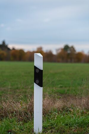 Focused motifs can be found during a walk through natureの写真素材