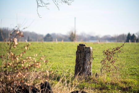 Focused motifs can be found during a walk through natureの写真素材