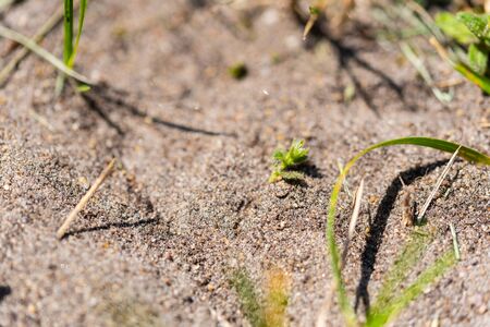 small things are shown in a very big sizeの写真素材