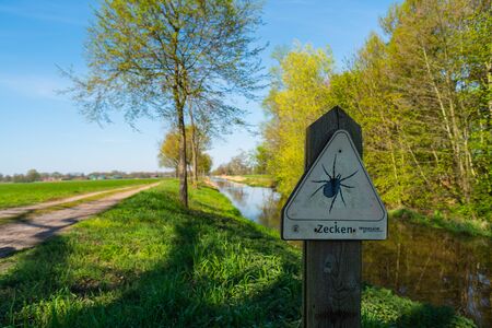 Focused motifs can be found during a walk through natureの写真素材