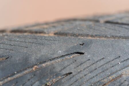 Bike as the main theme in these photosの写真素材