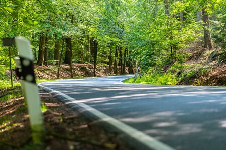 a dangerous country road in a forest of reindeer just so teeming in  germanyの写真素材