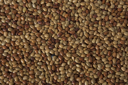 Horse Gram Lentils filling the frame