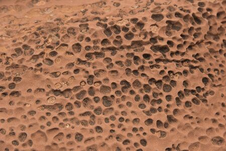 Honeycomb holes in rocks found in Capitol Reef National Park, Utah, USA.の写真素材