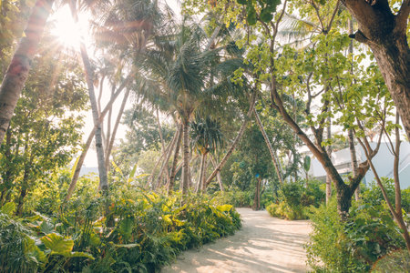 Pathway in tropical park, abstract travel background. Exotic nature scenic, sun beams bright palm forest sandy trailの写真素材