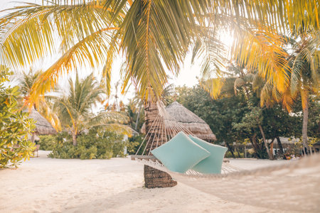 Relaxing hammock or swing on a palm tree sunset glare of the sun sea ocean sky shore sand. Calmness and tranquility on the beach for summer vacation and holiday concept, travelの写真素材