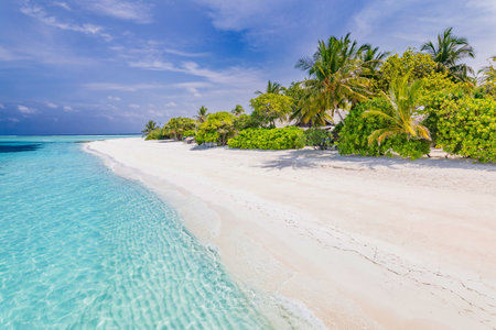Tranquil beach scenery. Exotic tropical beach landscape with palm trees and perfect sea view for background or banner. Design of summer vacation holiday concept. Amazing travelの写真素材