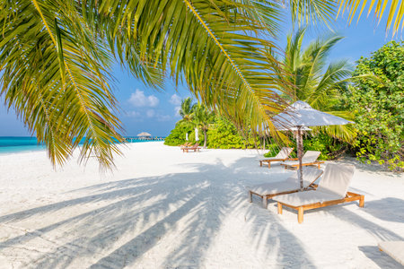 Tropical beach. Sunny tropical landscape, sandy beach view. Exotic resort, luxury hotel concept, tropical coast, blue sky and sea view. Summer vacation and holiday website designの写真素材