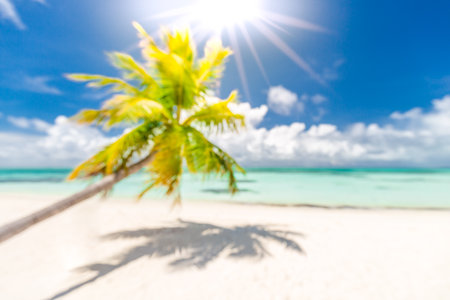 Beautiful blur beach, green palm leaf tree, sunny weather, sun rays with blue sea view and horizon. Tropical beach landscape for summer vacation tourism banner, blur bokeh conceptの写真素材