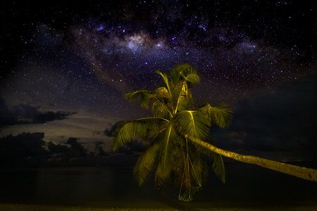 Abstract night sky over coconut palm trees on a beach, rocks, sea or ocean. The night sky with...