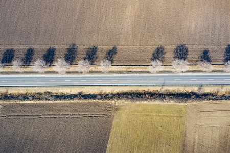 Aerial view over rural field with road in the middle, agriculture landscape, top view