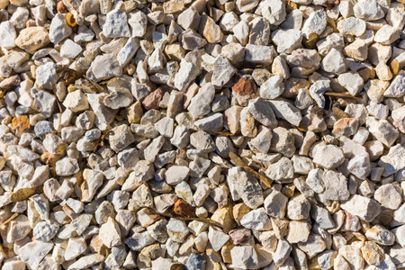 Top view of dirt road fragment. Dry land with stones. Abstract natural textured background. Stones...