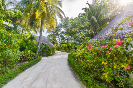 Tropical beach with palm trees, bungalows and flowers, sandy footpath. Soft sunlight raysの写真素材